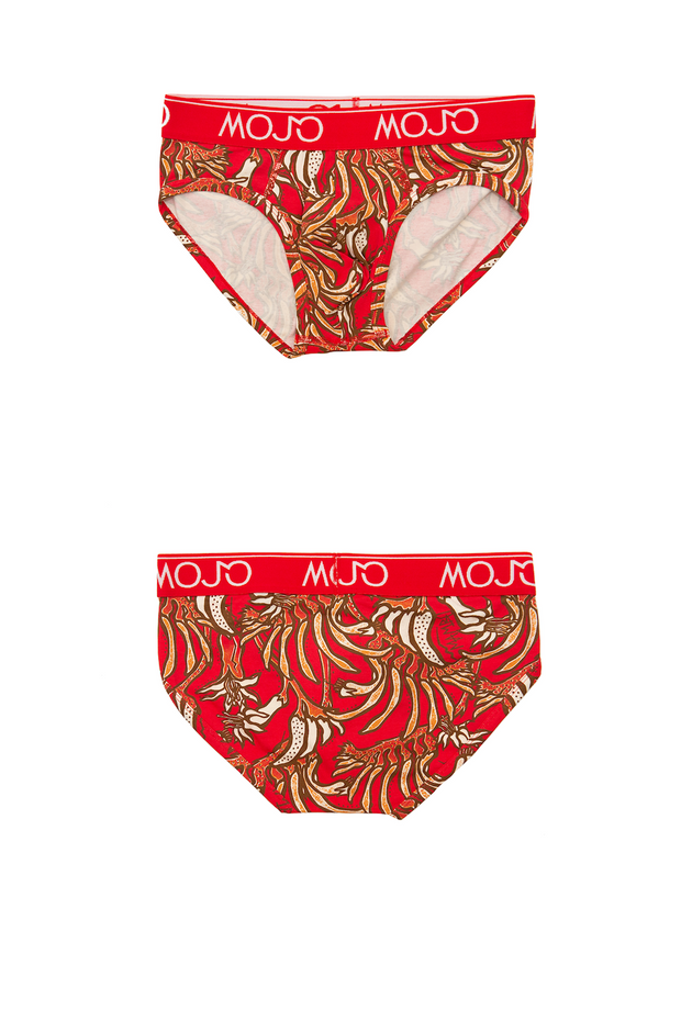 MAMBO "KANGAROO PAW" BRIEF - Mojo Downunder